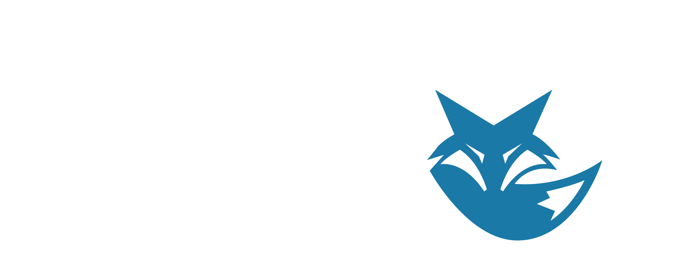 Mop Fox Cleaning Service